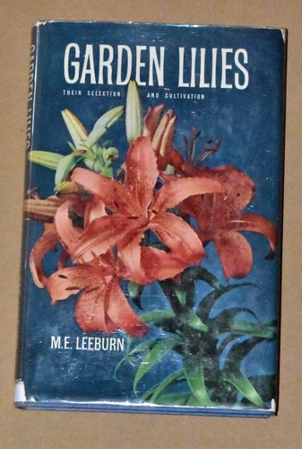 Garden lilies e leeburn - lilies,